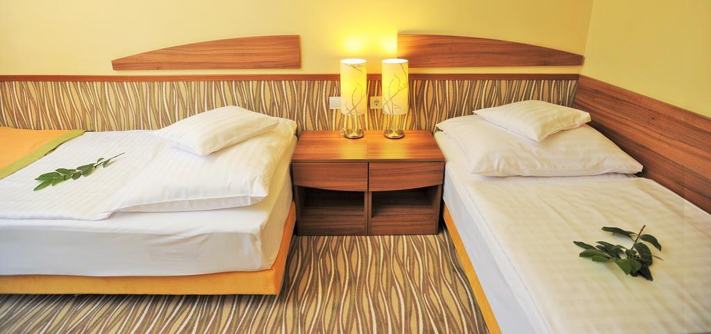Park Hotel Gyula Ruang foto