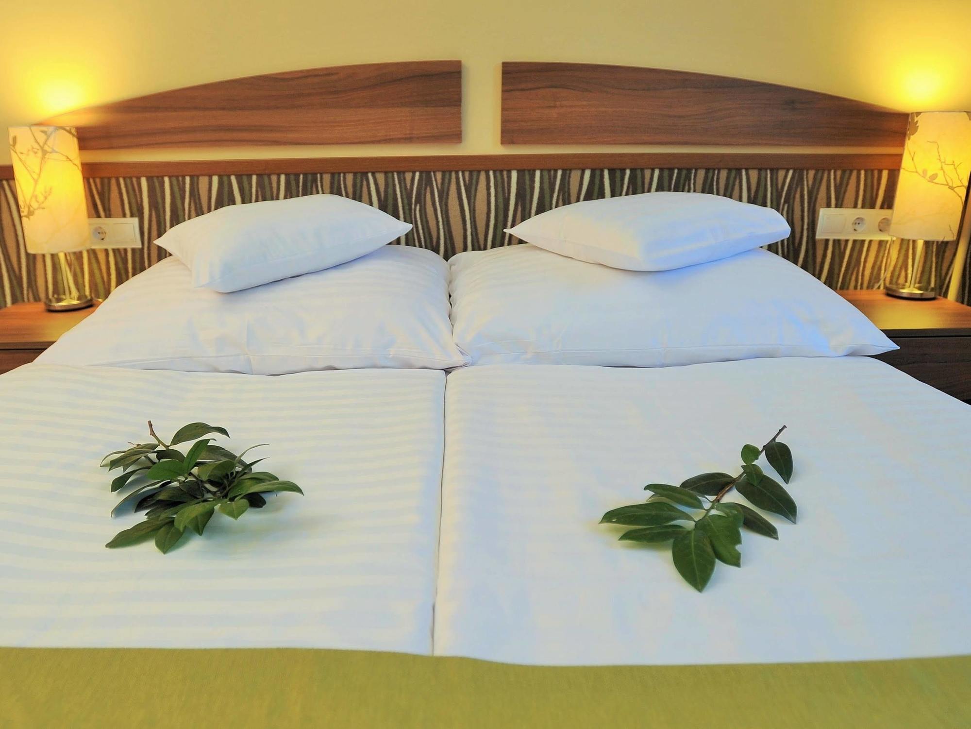 Park Hotel Gyula Bagian luar foto